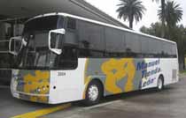 Manueal Tienda Leon Bus